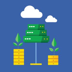 Metsälaina - investoi metsään Lainaa.info:n avulla